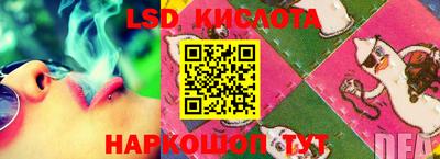 шишки Заводоуковск
