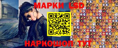 шишки Жуковский