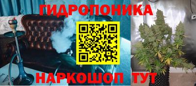 шишки Жуковский