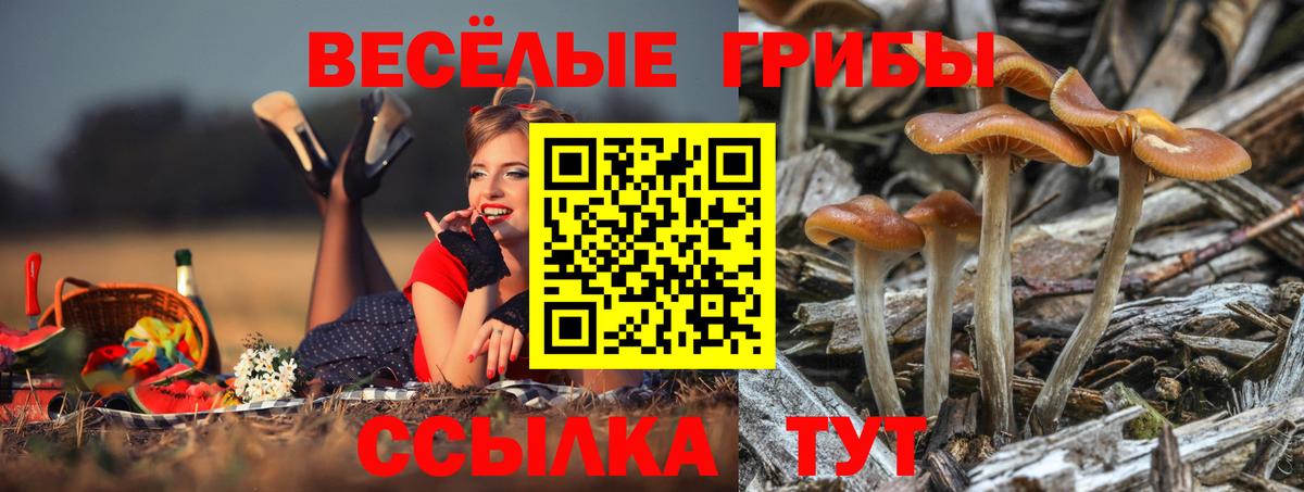 Майский  Галлюциногенные грибы ЛСД  Вход с VPN  Псилоцибиновые грибы MAGIC MUSHROOMS 