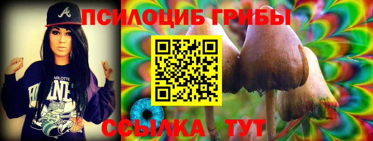 Галлюциногенные грибы ЛСД Майский